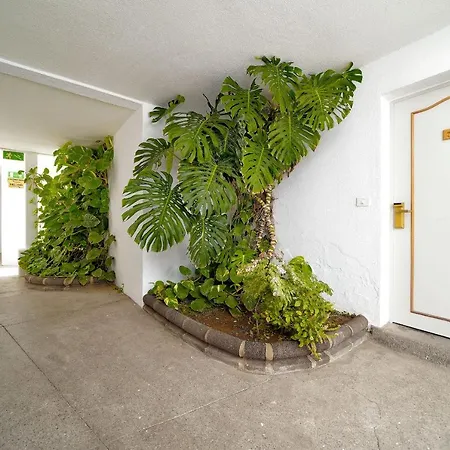 Aparthotel Rio Piedras
